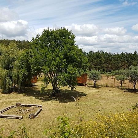 Отель Quinta Portugo Cernache do Bonjardim Экстерьер фото