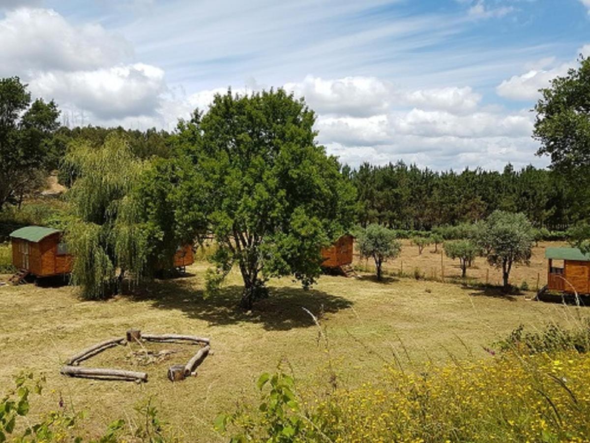 Отель Quinta Portugo Cernache do Bonjardim Экстерьер фото